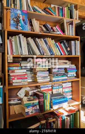 Divers livres exposés dans une bibliothèque à vendre à l'intérieur du magasin de biens d'occasion et de biens meubles, Québec, Canada Banque D'Images