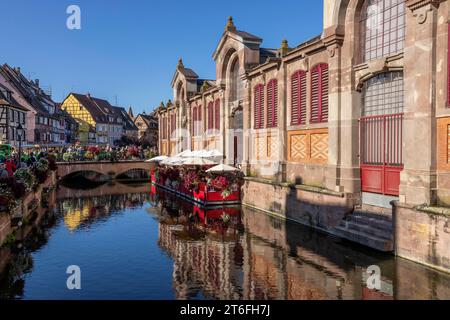 Marché couvert Colmar sur le canal, petite Venise Colmar (petite Venise Colmar), Vieille ville, Colmar, Grand est, Haut-Rhin, Alsace, France Banque D'Images