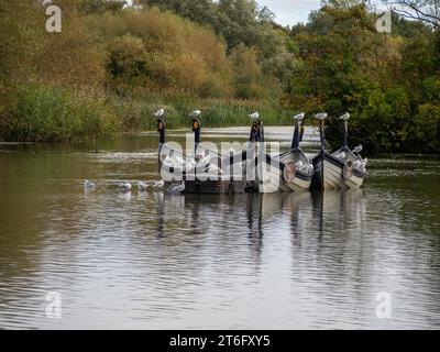 Bateaux à rames à louer sur la rivière Great Ouse, Bedford, Bedfordshire, Royaume-Uni Banque D'Images