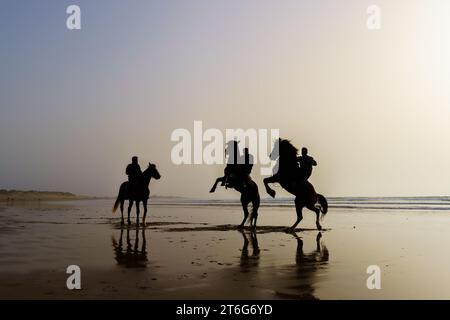 Essaouira, Maroc - 06 avril 2023 : silhouette de chevaux et cavaliers sur la plage d'Essaouira (Mogador), Maroc Banque D'Images