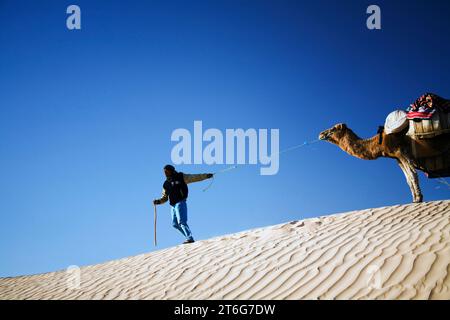 Guide de trekking à dos de chameau Nasser mène un chameau têtu (dromadaire) sur une dune de sable. Banque D'Images