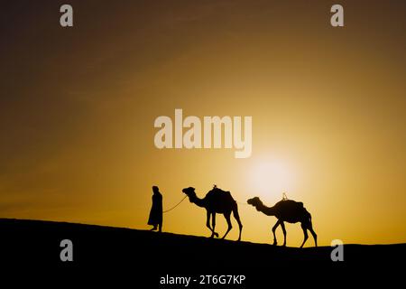 Silhouette de chameaux et de manutentionnaire au lever du soleil, dans les dunes de sable de Merzouga, dans le désert du Sahara, au Maroc Banque D'Images