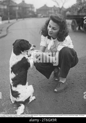 Jean Simmons. Actrice et chanteuse britannique. Né le 31 janvier 1929, décédé le 22 janvier 2010. Elle joue principalement dans des rôles au cinéma, d'abord en Grande-Bretagne pendant et après la Seconde Guerre mondiale. À 14 ans, elle a connu sa grande percée dans le film Great Expectations en 1946. La photo a été prise en Angleterre en 1945 et publiée dans le magazine Filmjournalen n°5 en 1946 dans l'article intitulé London's Pretiest girl. C’est la photographe Kristoffersson qui a rendu visite à Jean, alors âgée de 16 ans, où elle vit au 120 Cheviot Garden, Hendon Way, Londres NW 12. Son oncle la puissante compagnie de cinéma dir Banque D'Images