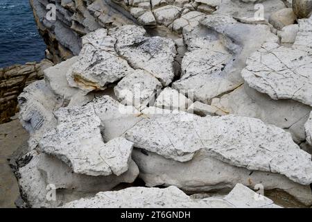 Belemnites fossiles à Ponta do Trobao, site géologique d'importance mondiale. Cette formation correspond au Toarcien (Jurassique inférieur). Cette photo était Tak Banque D'Images