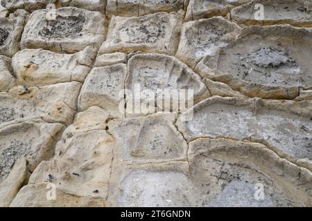 Belemnites fossiles à Ponta do Trobao, site géologique d'importance mondiale. Cette formation correspond au Toarcien (Jurassique inférieur). Cette photo était Tak Banque D'Images