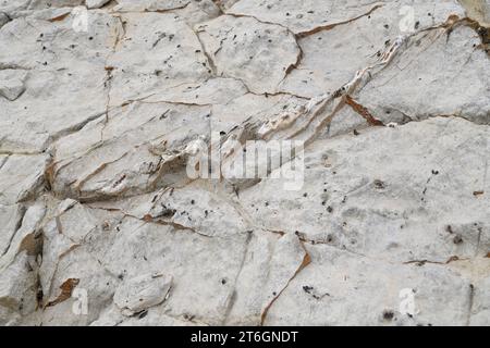 Belemnites fossiles à Ponta do Trobao, site géologique d'importance mondiale. Cette formation correspond au Toarcien (Jurassique inférieur). Cette photo était Tak Banque D'Images