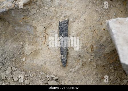 Belemnites fossiles à Ponta do Trobao, site géologique d'importance mondiale. Cette formation correspond au Toarcien (Jurassique inférieur). Cette photo était Tak Banque D'Images