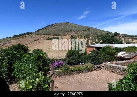 Batholite (dôme en granit). Cette photo a été prise à Cerro de San Cristobal, Logrosan, Caceres, Estrémadure, Espagne. Banque D'Images