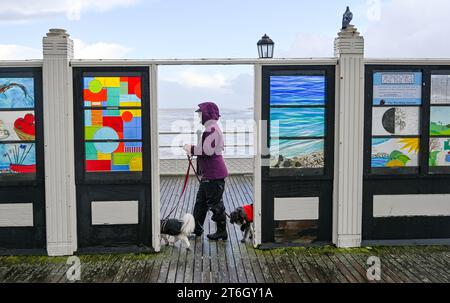 Worthing UK 10 novembre 2023 - Un promeneur de chien sur Worthing Pier dans le vent et la pluie, car plus de mauvais temps est prévu pour le Royaume-Uni : Credit Simon Dack / Alamy Live News Banque D'Images