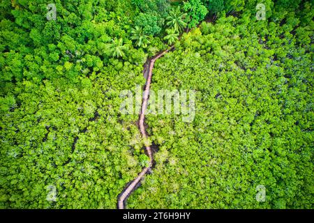 Photographie par drone des zones humides côtières de Port Launay, mangrove, l'une des meilleures zones humides de mangrove de l'île de Mahé, soutenant les sept espèces Banque D'Images