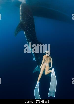 Femme nageant avec le requin baleine géant dans l'océan bleu profond. Silhouette de requin nageant sous l'eau et dame de plongée libre Banque D'Images