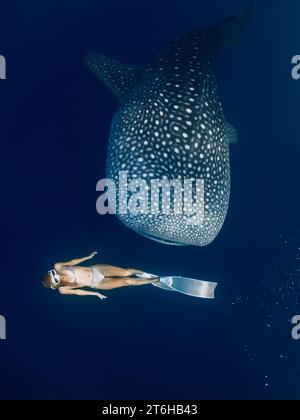 Femme plongée libre avec requin baleine dans l'océan profond. Requin géant nageant sous l'eau et belle dame Banque D'Images