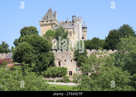 Château, village et noyer à Montfort en Périgord Noir près de Sarlat. Le château de Montfort surplombe la Dordogne. Histoire, architecture, countr Banque D'Images