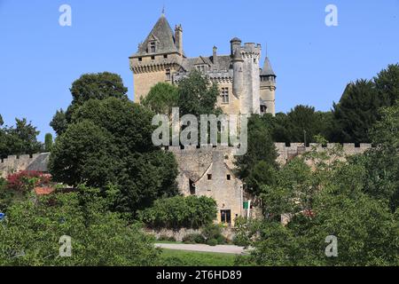 Château, village et noyer à Montfort en Périgord Noir près de Sarlat. Le château de Montfort surplombe la Dordogne. Histoire, architecture, countr Banque D'Images