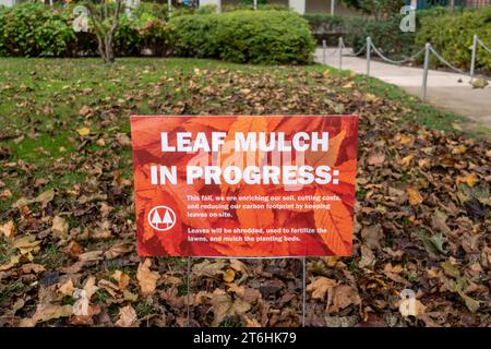 Un panneau annonçant le paillage de feuilles est en cours sur une pelouse à Chelsea à New York le lundi 6 novembre 2023. Il est maintenant recommandé aux propriétaires de pelouse de ne plus ramasser et emballer les feuilles d'automne, mais de les laisser sur l'alunge après la tonte pour agir comme paillis. (© Richard B. Levine) Banque D'Images