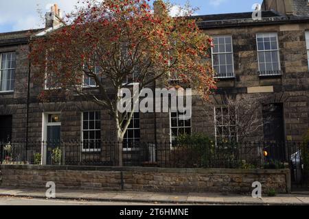 Edimbourg, un rowan aux berries rouges en automne illumine une rangée de maisons de ville géorgiennes en pierre grise près du jardin botanique royal de New Town. Banque D'Images