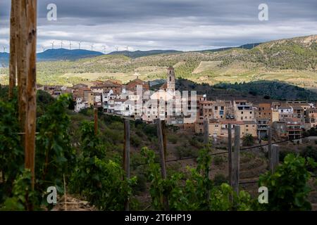 Panoramique du village de Masroig parmi les vignobles au printemps dans la région d'appellation d'origine Priorat en Catalogne en Espagne Banque D'Images