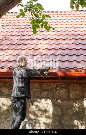 Un homme debout sur une échelle nettoie les gouttières d'un drain un jour d'automne. Prévention des blocages. Banque D'Images