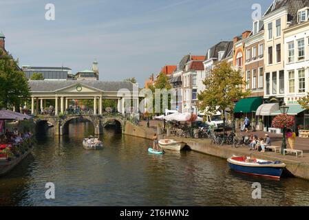 Vue sur la Nieuwe Rijn au Koornbrug à Leyde / Leyde, Hollande du Sud, Zuid-Hollande, Benelux, pays du Benelux, pays-Bas, Nederland Banque D'Images