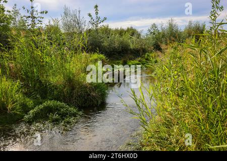 Bottrop-Gladbeck, Rhénanie-du-Nord-Westphalie, Allemagne, renaturalisé Boye, affluent de l'Emscher, a été transformé en une eau quasi naturelle Banque D'Images