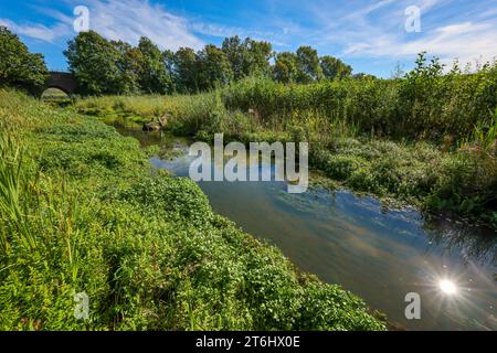 Bottrop-Gladbeck, Rhénanie-du-Nord-Westphalie, Allemagne, renaturalisé Boye, affluent de l'Emscher, a été transformé en une eau quasi naturelle Banque D'Images