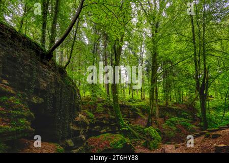 Église du diable de Grünsberg, gorge de grès rhétien, Altdorf, moyenne-Franconie, Franconie, Bavière, Allemagne Banque D'Images