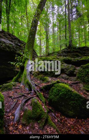 Église du diable de Grünsberg, gorge de grès rhétien, Altdorf, moyenne-Franconie, Franconie, Bavière, Allemagne Banque D'Images