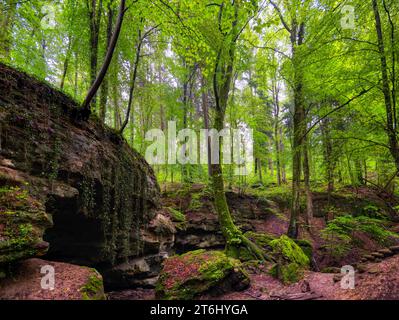 Église du diable de Grünsberg, gorge de grès rhétien, Altdorf, moyenne-Franconie, Franconie, Bavière, Allemagne Banque D'Images