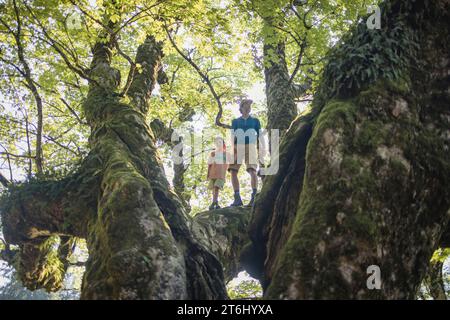 Visite en famille au Schwarzenberghütte, Hinterstein, Allgäu, Bavière, Allemagne Banque D'Images