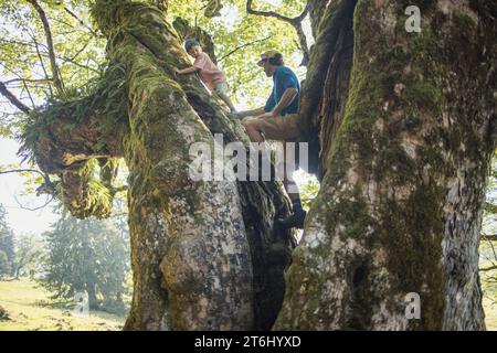 Visite en famille au Schwarzenberghütte, Hinterstein, Allgäu, Bavière, Allemagne Banque D'Images