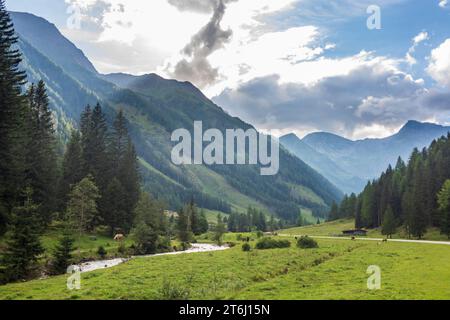 Mallnitz, Vallée de Mallnitzbach, ruisseau Mallnitzbach, chevaux, Parc National du Haut Tauern dans le Parc National Hohe Tauern, Carinthie, Autriche Banque D'Images