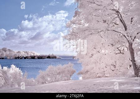 Europe, Allemagne, Mecklembourg-Poméranie occidentale, région de Müritz, région des lacs de Mecklembourg, lac Müritz, hangars à bateaux sur le bord du lac Banque D'Images