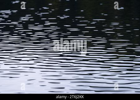 Petites vagues et réflexions de lumière sur la surface d'eau d'un lac, France, montagnes des Vosges Banque D'Images