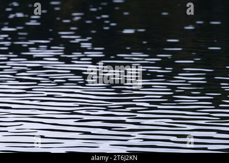 Petites vagues et réflexions de lumière sur la surface d'eau d'un lac, France, montagnes des Vosges Banque D'Images