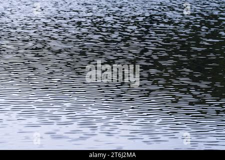 Petites vagues et réflexions de lumière sur la surface d'eau d'un lac, France, montagnes des Vosges Banque D'Images