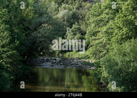 Allemagne, Bavière, haute-Bavière, district de Altötting, Neuötting, Isental, rivière Isen, forêt de plaine inondable Banque D'Images