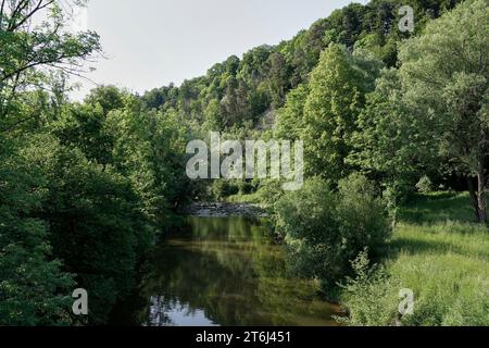 Allemagne, Bavière, haute-Bavière, district de Altötting, Neuötting, Isental, rivière Isen, forêt de plaine inondable Banque D'Images