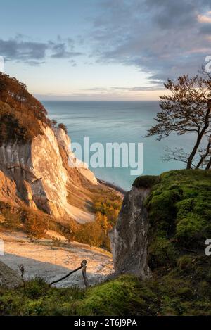 Le soleil du matin brille sur la falaise de craie Möns Klint, île de la mer Baltique Mön, Danemark Banque D'Images