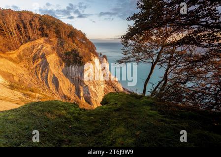 Le soleil du matin brille sur la falaise de craie Möns Klint, île de la mer Baltique Mön, Danemark Banque D'Images