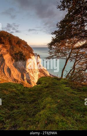 Le soleil du matin brille sur la falaise de craie Möns Klint, île de la mer Baltique Mön, Danemark Banque D'Images