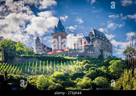 La ville de Bacharach sur le Rhin moyen, le château de Stahleck et plusieurs tours de la ville encadrent le centre-ville, la chapelle Werner et St. Peter se démarque, Banque D'Images