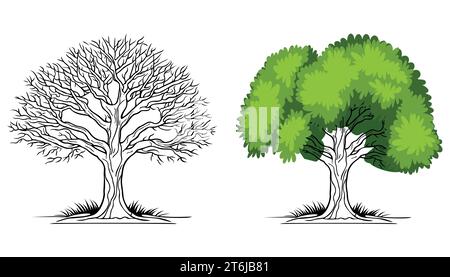 Contour des arbres vectoriels sur fond blanc Illustration de Vecteur
