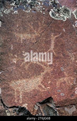 Pétroglyphes Buffalo Eddy, parc historique national nez Perce, Washington Banque D'Images