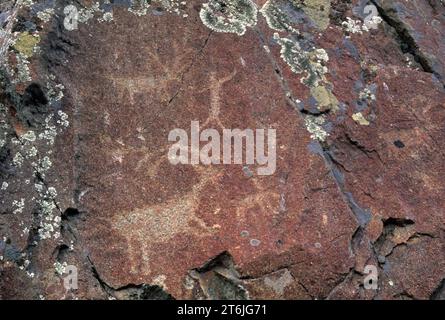 Pétroglyphes Buffalo Eddy, parc historique national nez Perce, Washington Banque D'Images