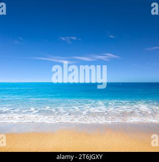 Magnifique mer tropicale et plage de sable Banque D'Images