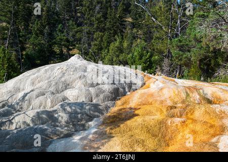 Orange Spring Mound, près de Mammoth Hot Springs, parc national de Yellowstone, États-Unis Banque D'Images