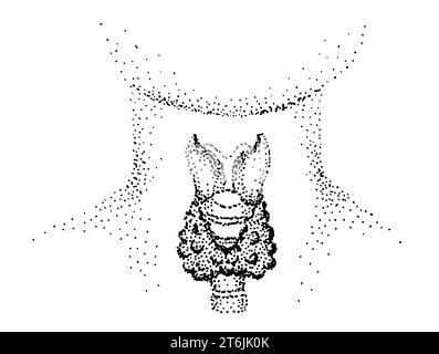 Glande thyroïde sur fond blanc Illustration de Vecteur