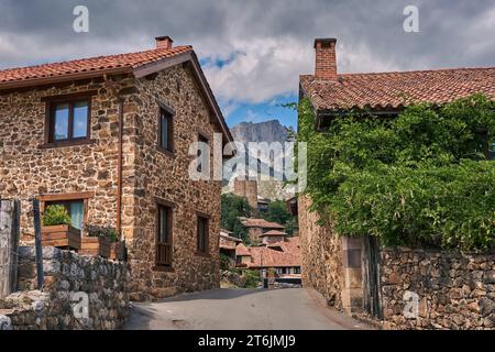 Village médiéval de Mogrovejo avec la tour du château et les sommets européens en arrière-plan.à Camaleño, Cantabrie, Espagne Banque D'Images