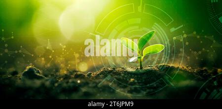 Young Sprout Agricultural technologies, bannière de recherche scientifique, fond numérique biologique. Copier l'espace Banque D'Images