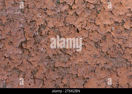 Peinture brunâtre écaillée sur la surface du sol en béton. Banque D'Images